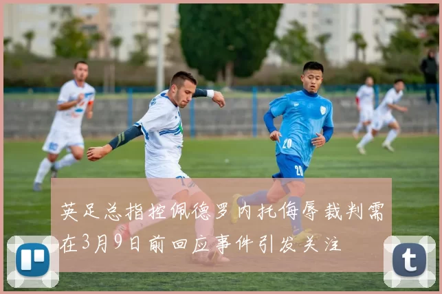 英足总指控佩德罗内托侮辱裁判需在3月9日前回应事件引发关注